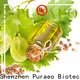 Puraeo grapeseed carrier oil Supply for massage2 1