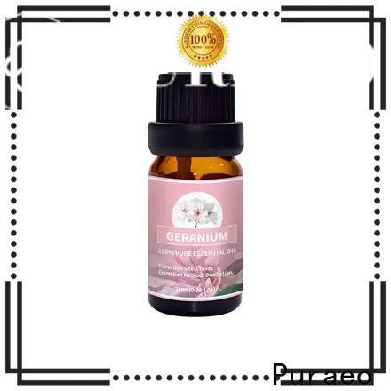 Puraeo pure tea tree essential oil factory for hair2 1