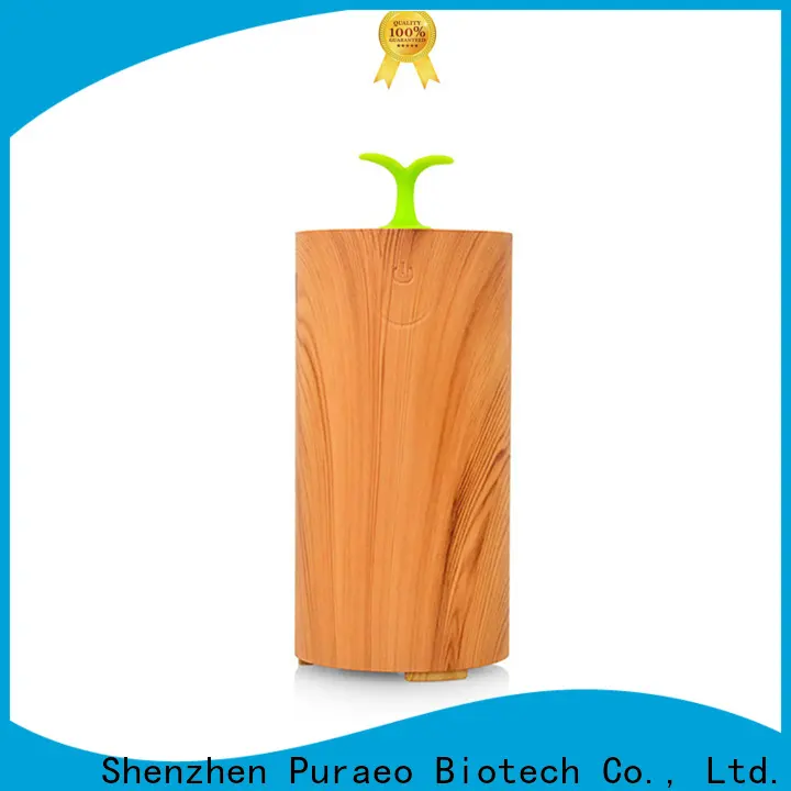 Puraeo usb fragrance diffuser Supply 1
