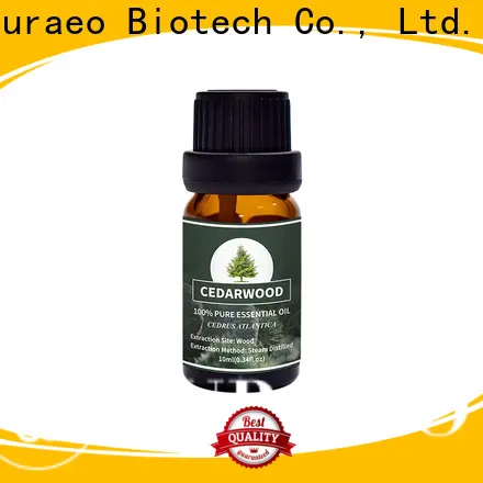 Puraeo Latest ylang ylang body oil manufacturers for hair 1