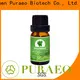 Top carrier oils supplier manufacturers for hair2 1