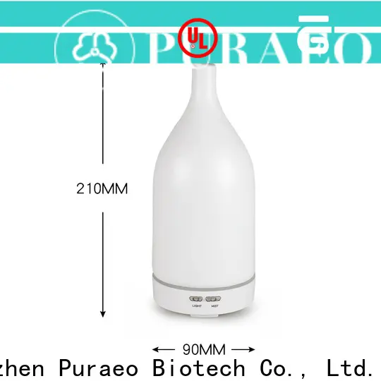 Puraeo High-quality usb car diffuser Supply 1