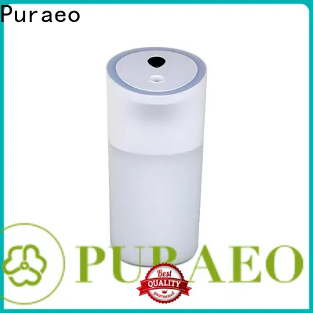 Puraeo Latest usb car diffuser company 1