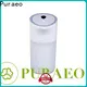 Puraeo Latest usb car diffuser company 1