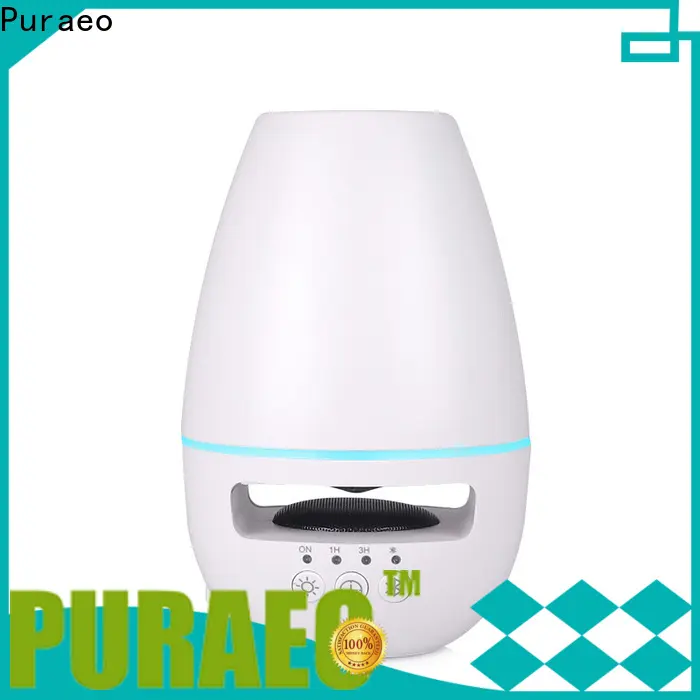 Puraeo Best usb travel diffuser company1 1