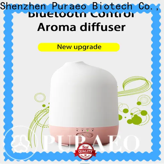 Puraeo usb rechargeable essential oil diffuser company 1