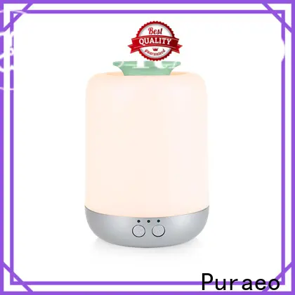 Puraeo Best car diffuser wholesale factory 1