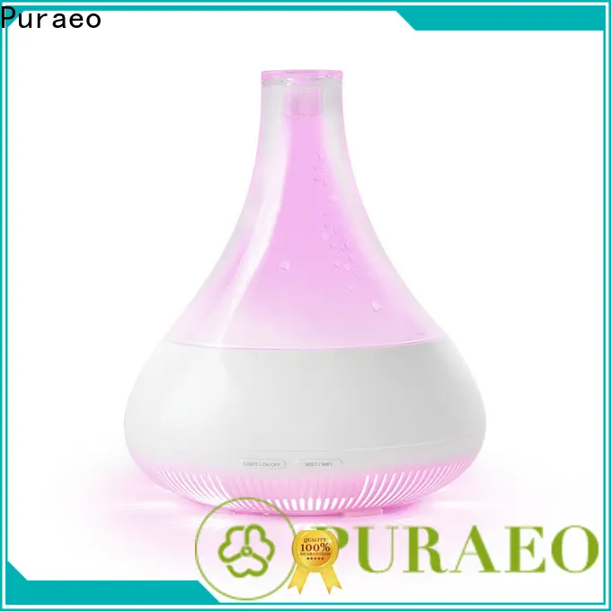 Puraeo Top usb powered oil diffuser company 1