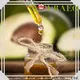 Puraeo Wholesale carrier oils for oily skin for business for face 1
