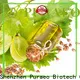 Puraeo cheapest carrier oil Supply for skin 1