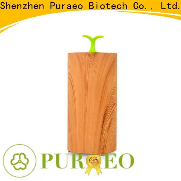 Puraeo New small usb diffuser factory 1