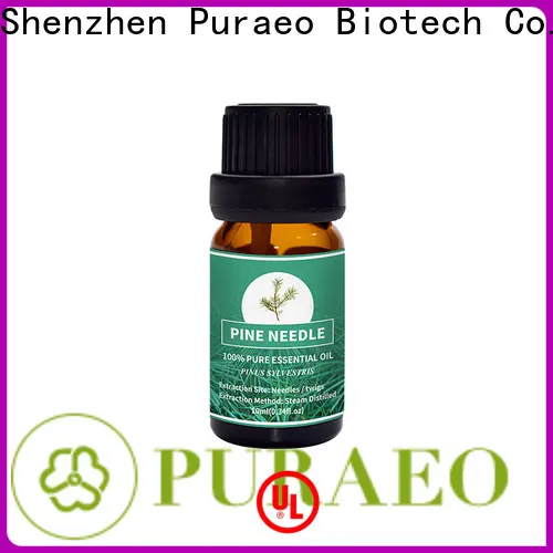 Puraeo Latest peppermint essential oil for headaches Supply for perfume 1