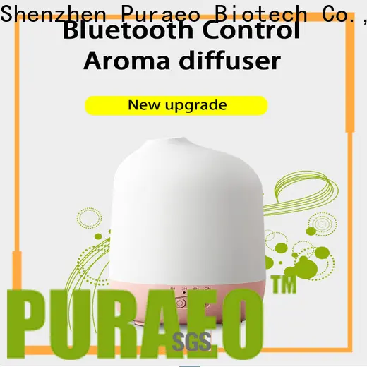 Puraeo usb fragrance diffuser for business 1