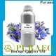 Puraeo bulk carrier oils company for perfume 1