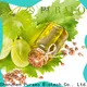 Puraeo wholesale jojoba oil suppliers Supply for hair 1