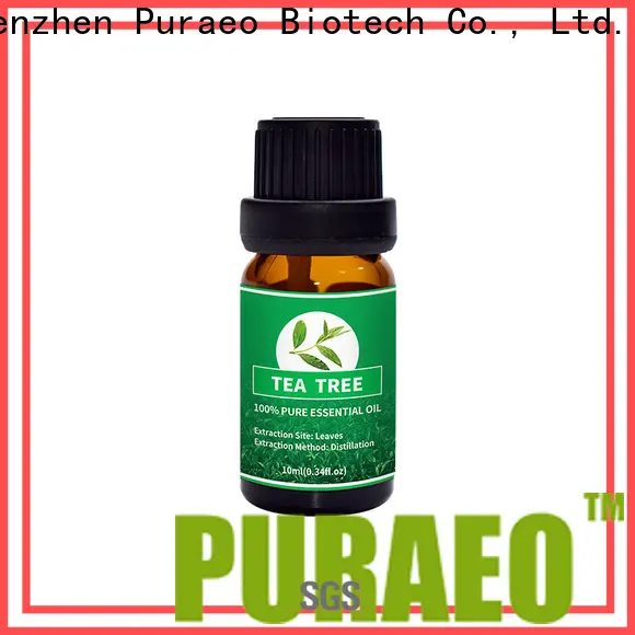 Top ginger oil for massage for business for skin 1