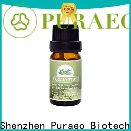 New peppermint essential oil for skin company for massage 1