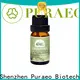 New peppermint essential oil for skin company for massage 1