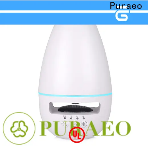 Puraeo Best portable usb aroma diffuser factory1 1
