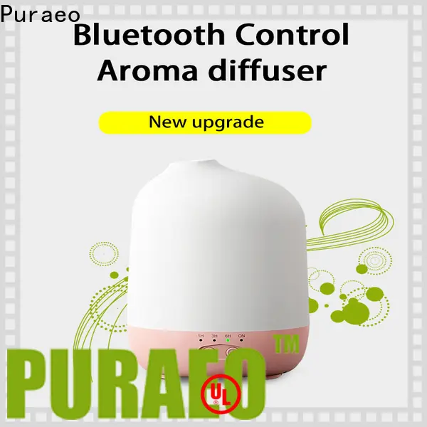 Puraeo car diffuser bulk Suppliers1 1
