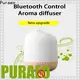 Puraeo car diffuser bulk Suppliers1 1