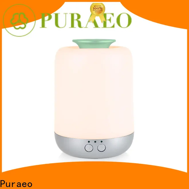 Puraeo Wholesale usb car oil diffuser Supply 1