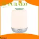 Puraeo Wholesale usb car oil diffuser Supply 1