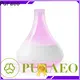 Puraeo High-quality usb travel diffuser for business 1