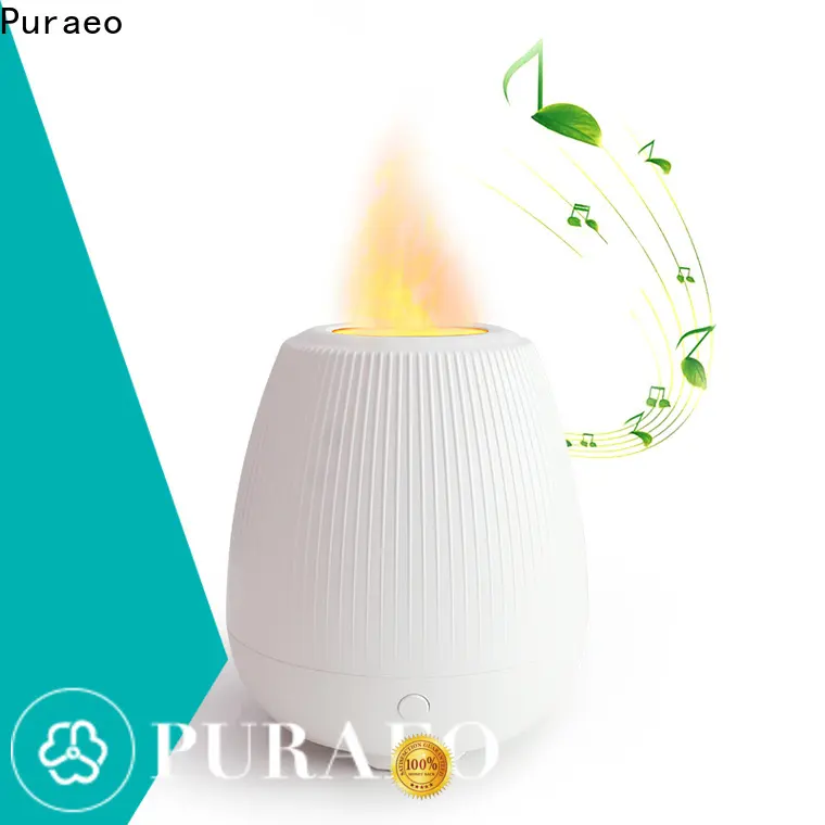 Best portable usb diffuser for business 1
