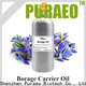Puraeo bulk sweet almond oil for business for perfume 1