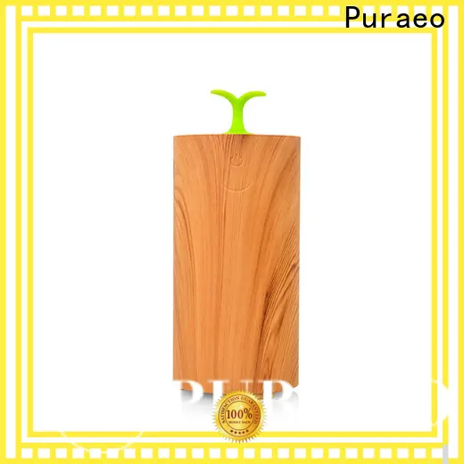 Puraeo High-quality usb aromatherapy diffuser manufacturers 1