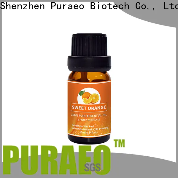 Latest rosemary oil for skin Supply for perfume 1