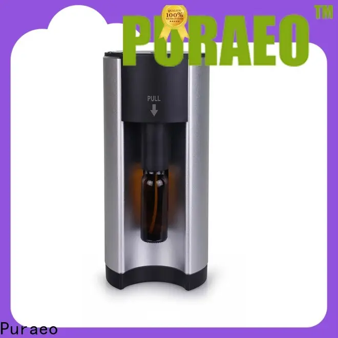 Puraeo Custom car essential oil diffuser usb for business 1