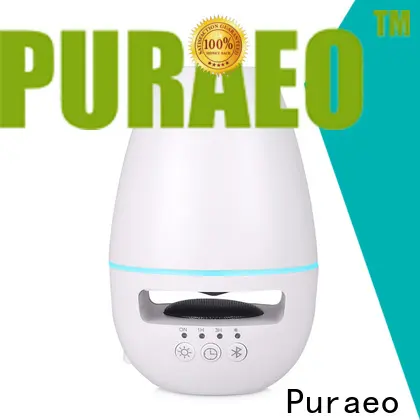 Puraeo wholesale electric aromatherapy diffuser Supply 1