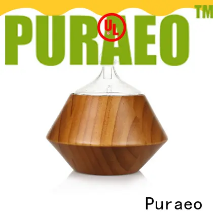 Puraeo Wholesale usb aroma diffuser Supply 1