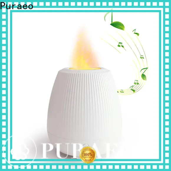 Puraeo Best electric diffuser manufacturers for business 1