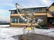 DONGYUAN pilgrimage metal artist for sale for livingroom 2