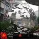 crane soccer large metal yard sculptures DONGYUAN 1