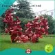 polished outdoor metal fish art with good price for square 1