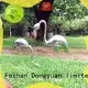 soccer metal animal sculptures for the garden with good price for street DONGYUAN 1