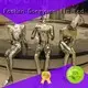 DONGYUAN honeybee metal art pieces series for indoor 1