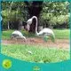 large metal flower art gazing with good price for outdoor 1