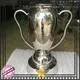 DONGYUAN decorative outdoor metal sculptures animals customized for plaza 1