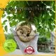 DONGYUAN polished brass sphere factory price for plaza 1