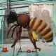 DONGYUAN honeybee metal garden art birds personalized for indoor 1