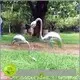 DONGYUAN matt metal flower sculpture manufacturers for square 1
