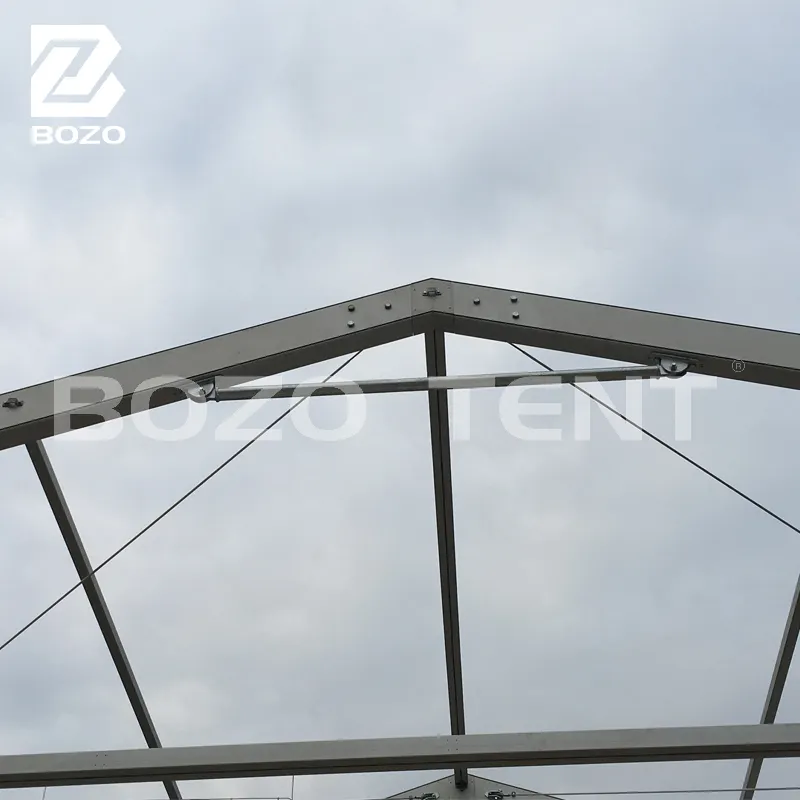 Fine Quality Canvas Pole Tent with Custom Services for Hanger 2