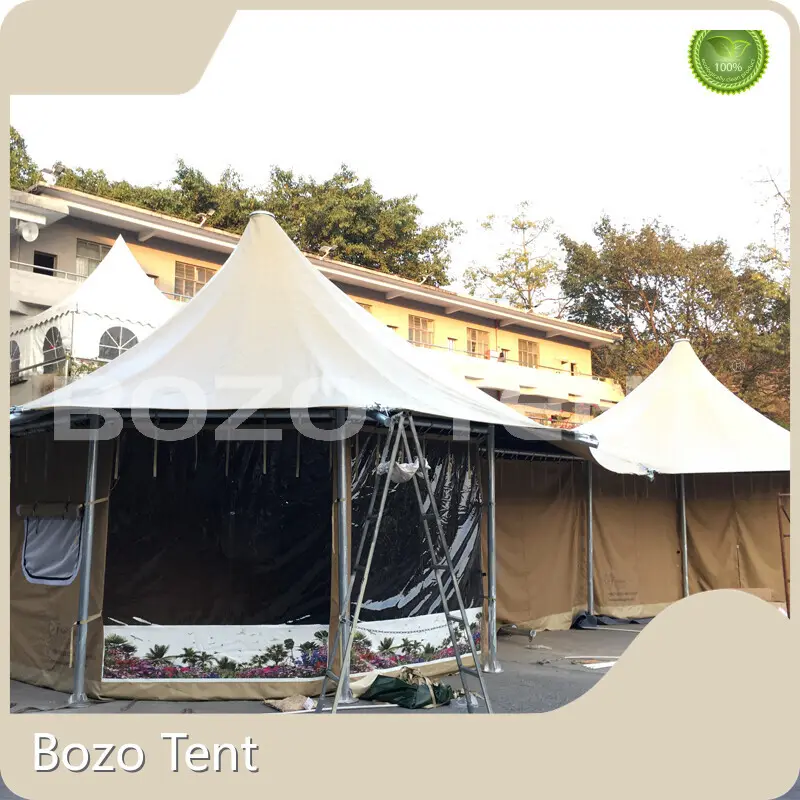 Hot Selling Hotel Tent for Exhibition 1