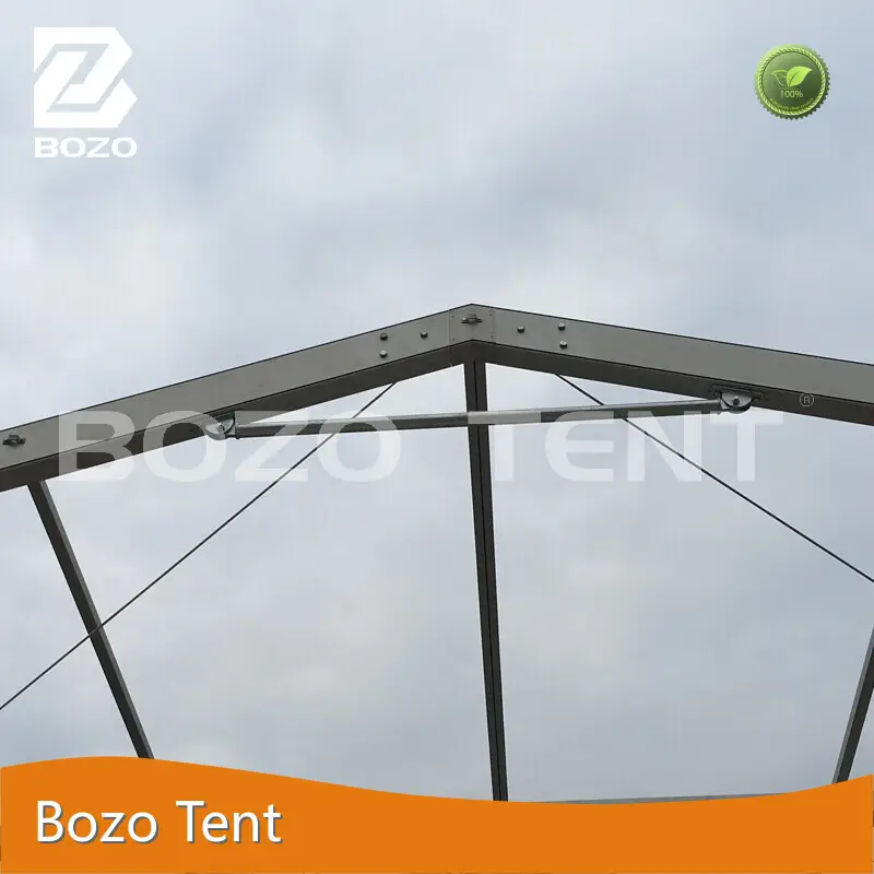 Fine Quality Canvas Pole Tent with Custom Services for Hanger 1