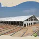OEM&ODM Temporary Garage Tent Price List 1
